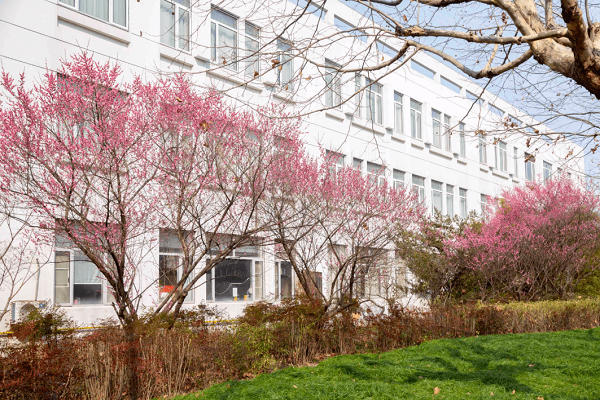 奥塔哥大学可持续商业考试辅导