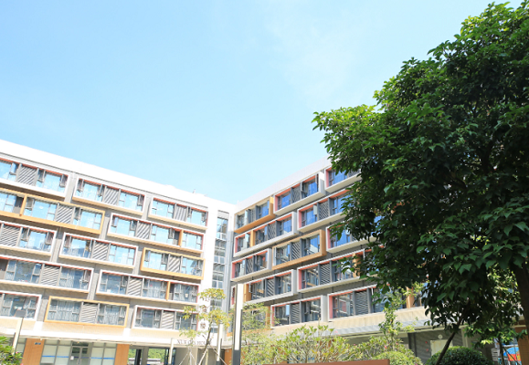 美国大学essay辅导