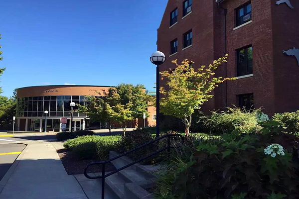 华威大学计算机系统工程本科课程辅导补习