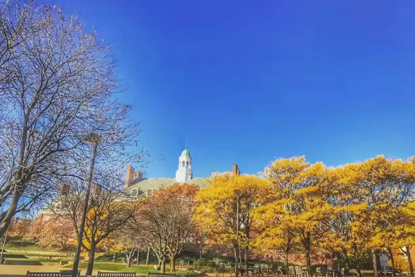 美国约翰霍普金斯大学会计学本科课程学习辅导