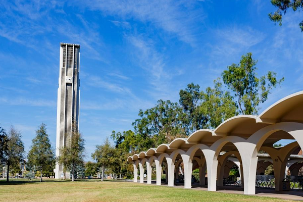 加拿大多伦多大学心理学大一课程