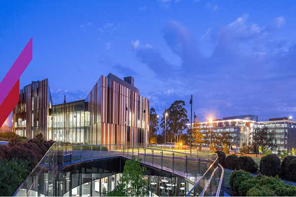 麦考瑞大学