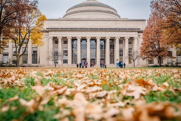 伦敦大学学院药理学本科课程同步辅导