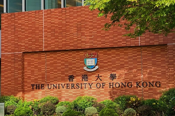 香港大学深度学习课程辅导