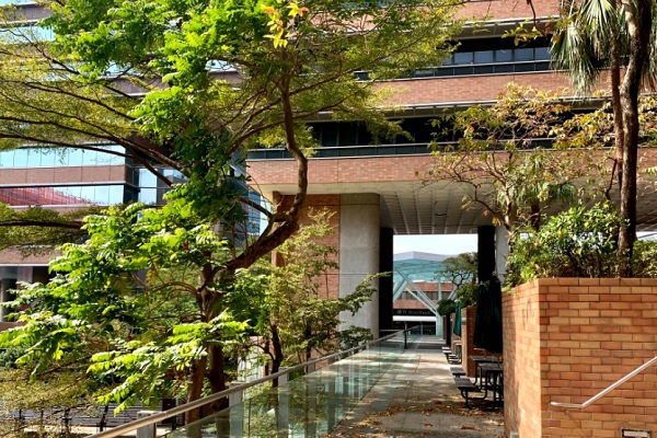 香港岭南大学应用心理学课程补习