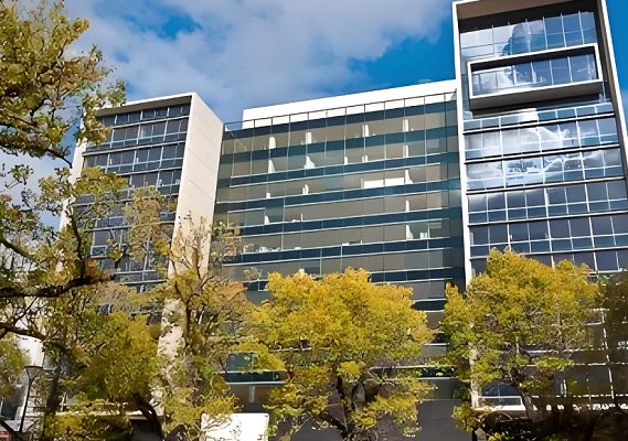 布莱恩特大学社会学辅导