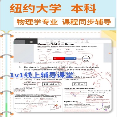 纽约大学物理学本科