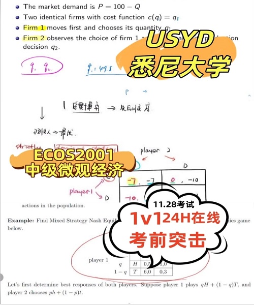 悉尼大学ECOS2001考前突击辅导补习.png