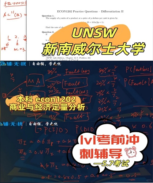 UNSW高效复习ECON1202考前冲刺辅导案例.png