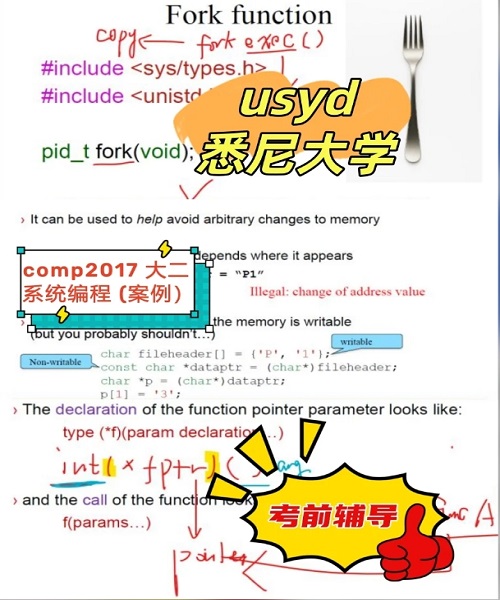usyd悉尼大学COMP2017期末考前辅导案例.png