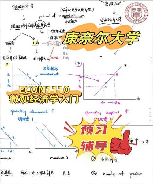 康奈尔大学ECON1110课程预习辅导.png