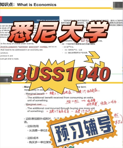 悉尼大学BUSS1040预习辅导.png