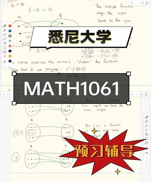 悉尼大学MATH1061预习辅导.png