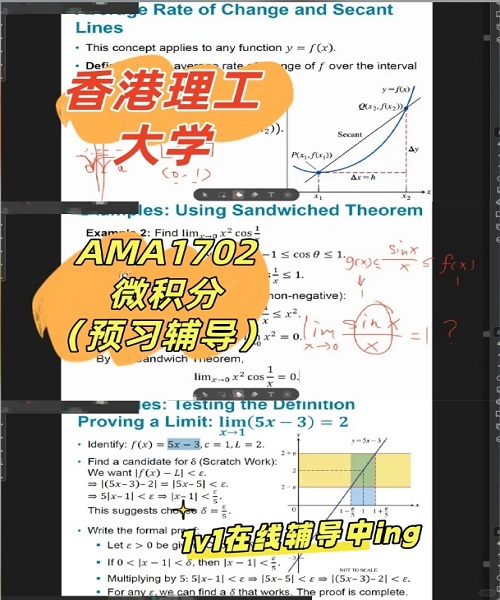 香港理工大学AMA1702课程预习辅导案例.png