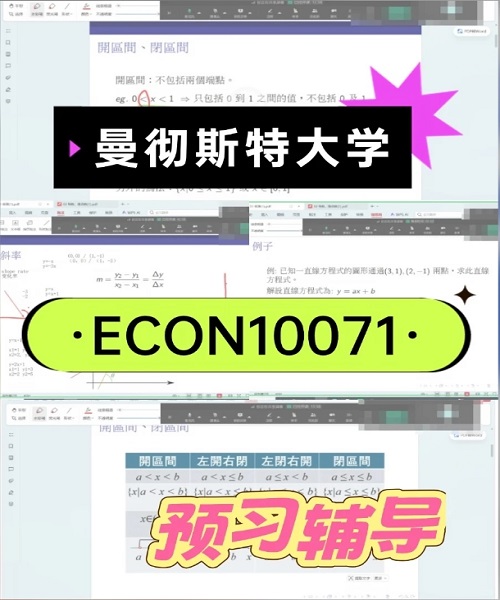 曼彻斯特大学ECON10071预习辅导.png