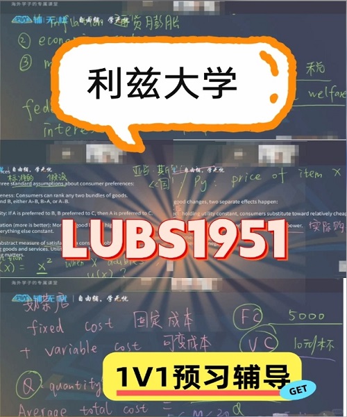 利兹大学LUBS1951预习辅导案例.png