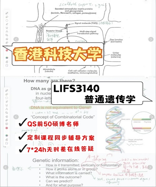 HKUST LIFS3140普通遗传学课程辅导案例.png