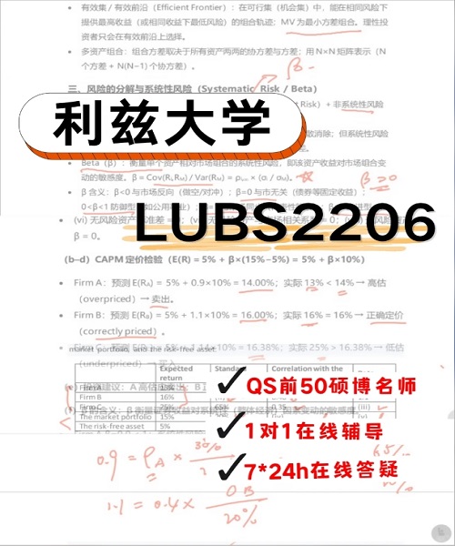 Leeds LUBS2206企业财务管理考前辅导.png