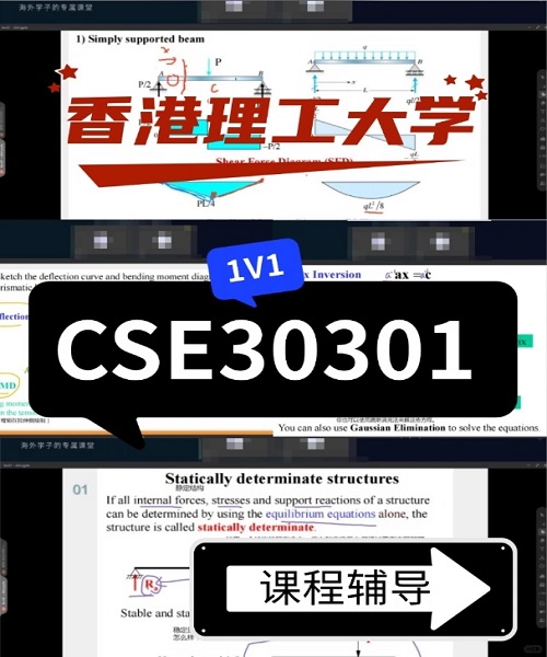 香港理工大学CSE30301课程1V1辅导案例.png