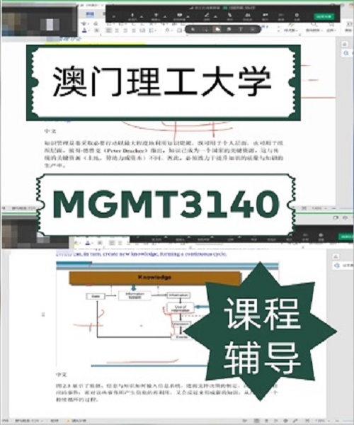 澳门理工大学MGMT3140课程辅导案例.png
