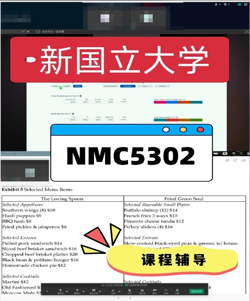 新加坡国立大学NMC5302课程辅导案例.png