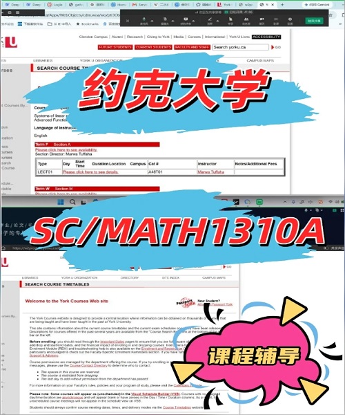 约克大学SCMATH1310A课程1V1辅导案例.png